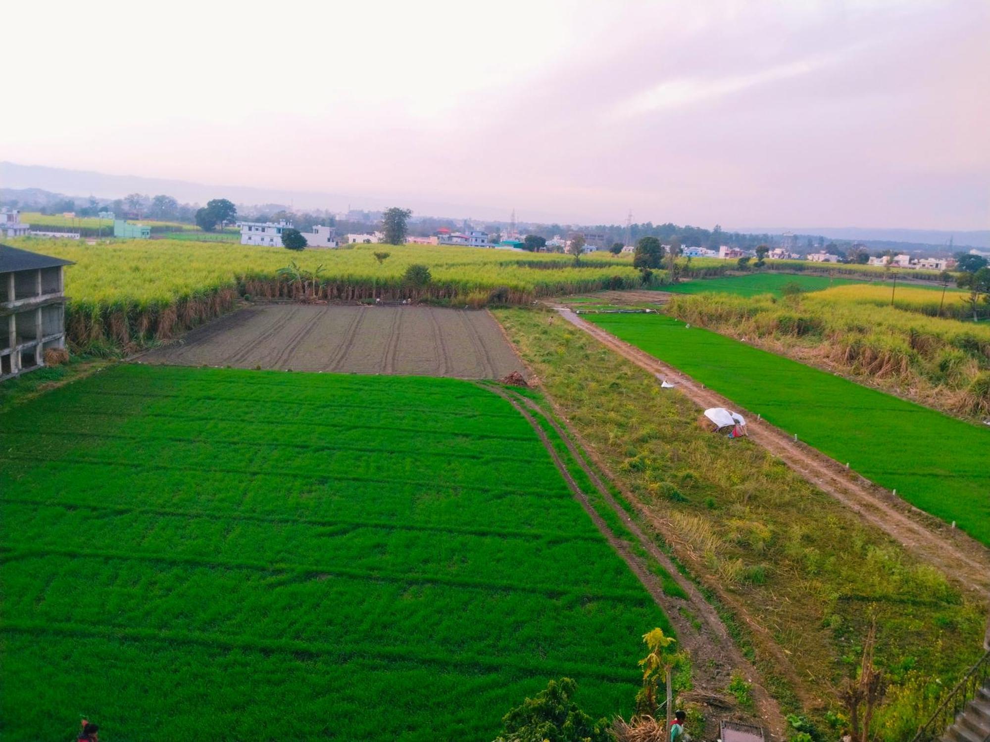 Airport Luxury Nature Homestay- Near Jolly Grant Airport Dehradun Doiwāla エクステリア 写真