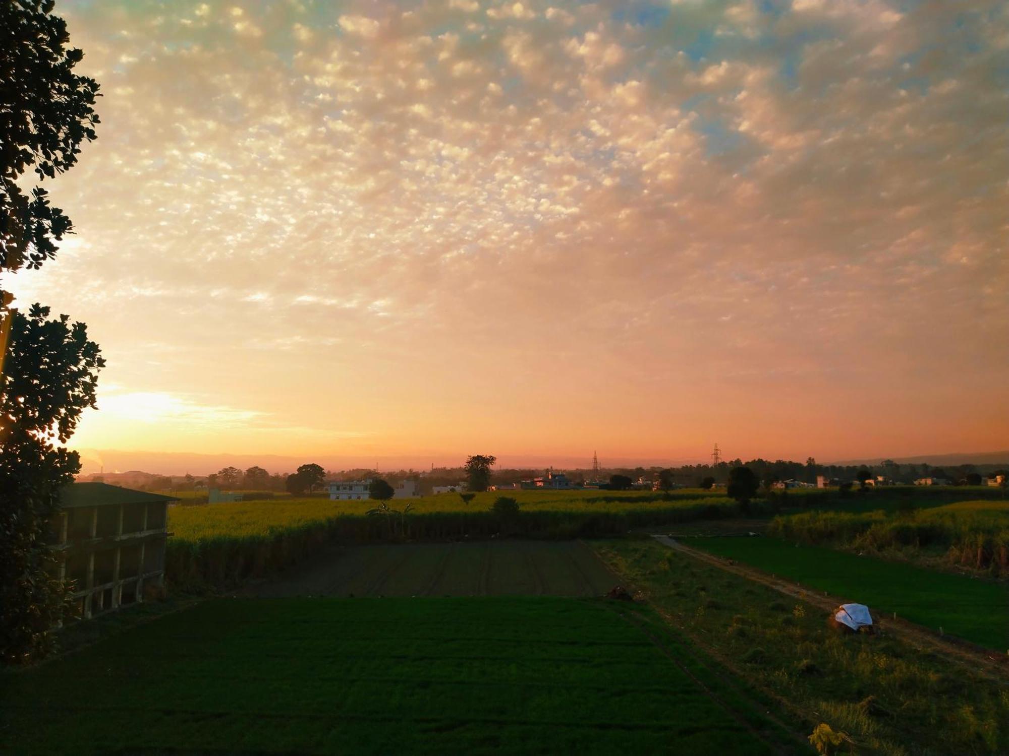Airport Luxury Nature Homestay- Near Jolly Grant Airport Dehradun Doiwāla エクステリア 写真